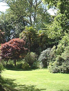 hotel garden