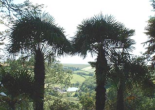 Buckland Hotel Gardens