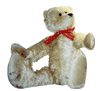 Teddy