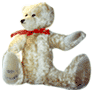 Teddy