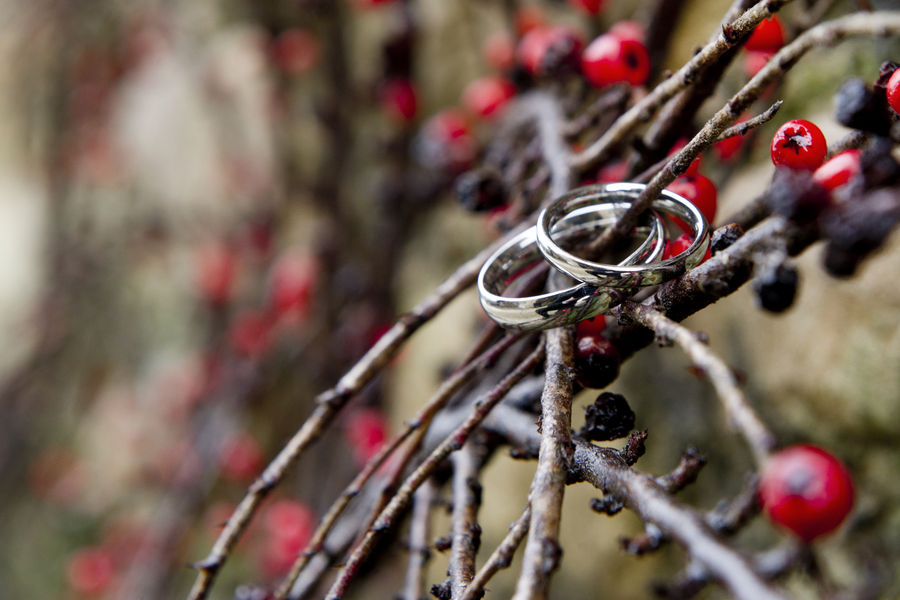 Festive Wedding Open Evening