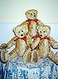 Teddy Tout Saints